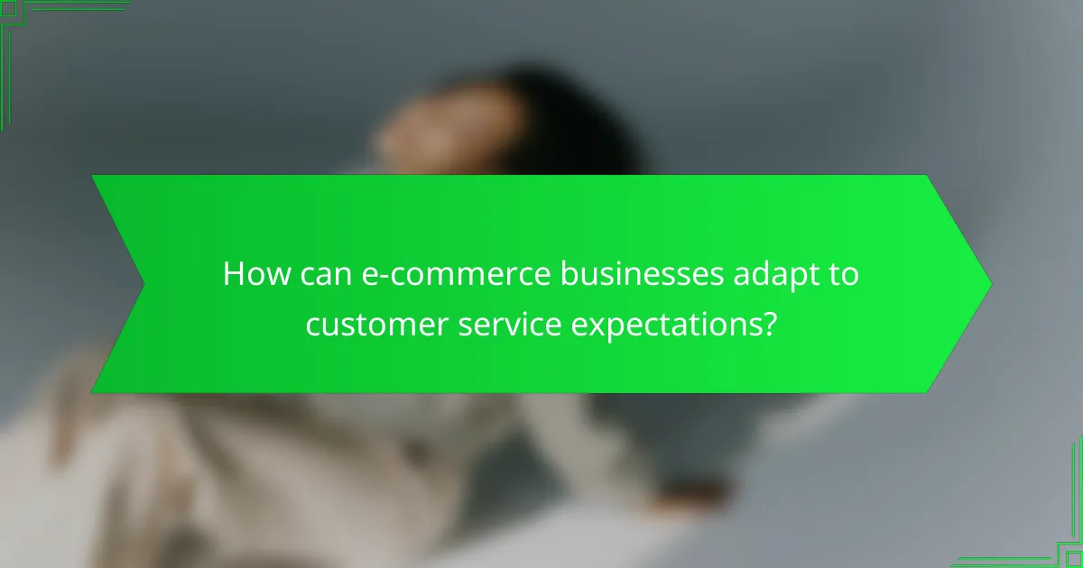 How can e-commerce businesses adapt to customer service expectations?